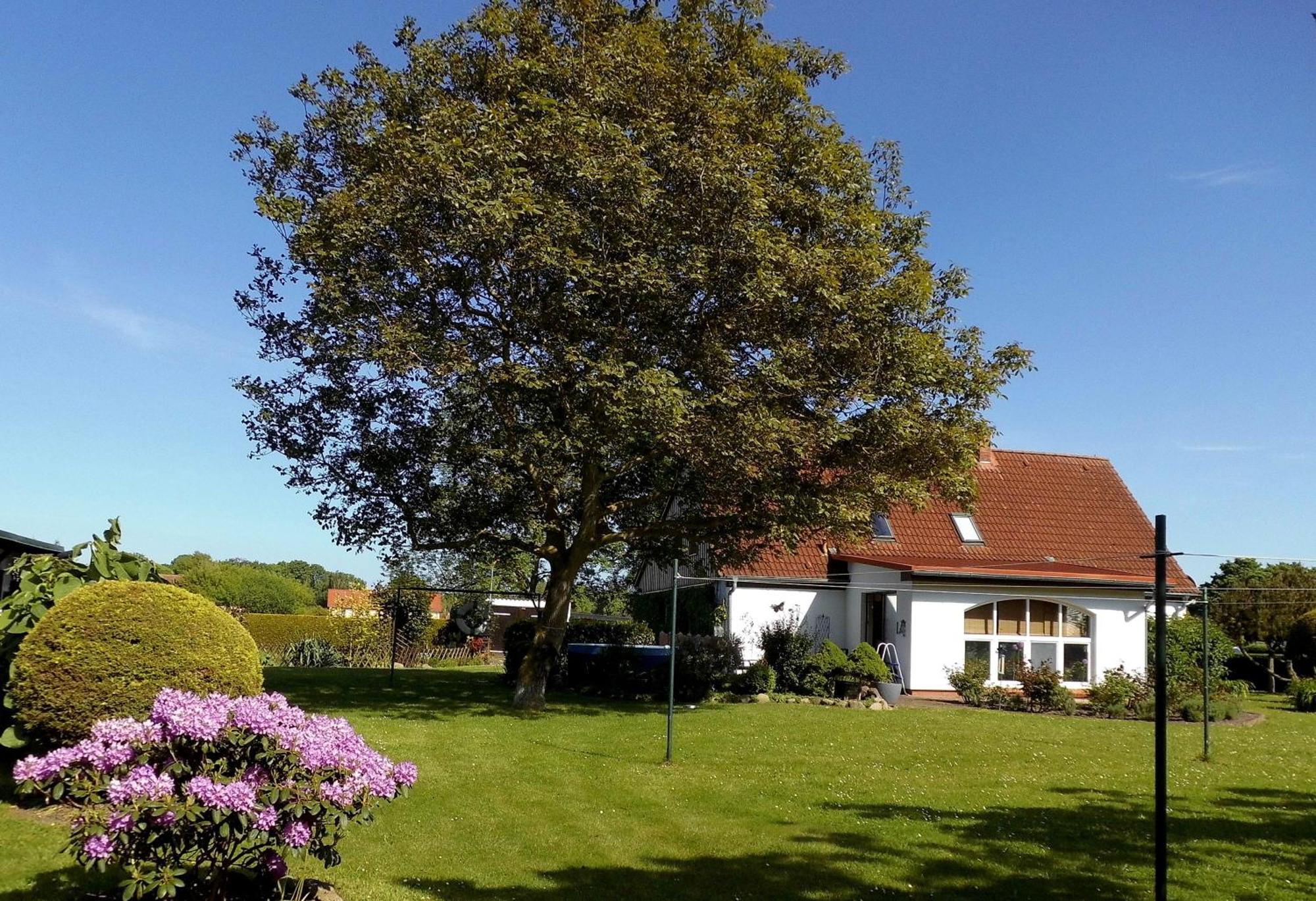 Bungalow Und Ferienwohnung Auf Ruegen Kluis Exterior photo